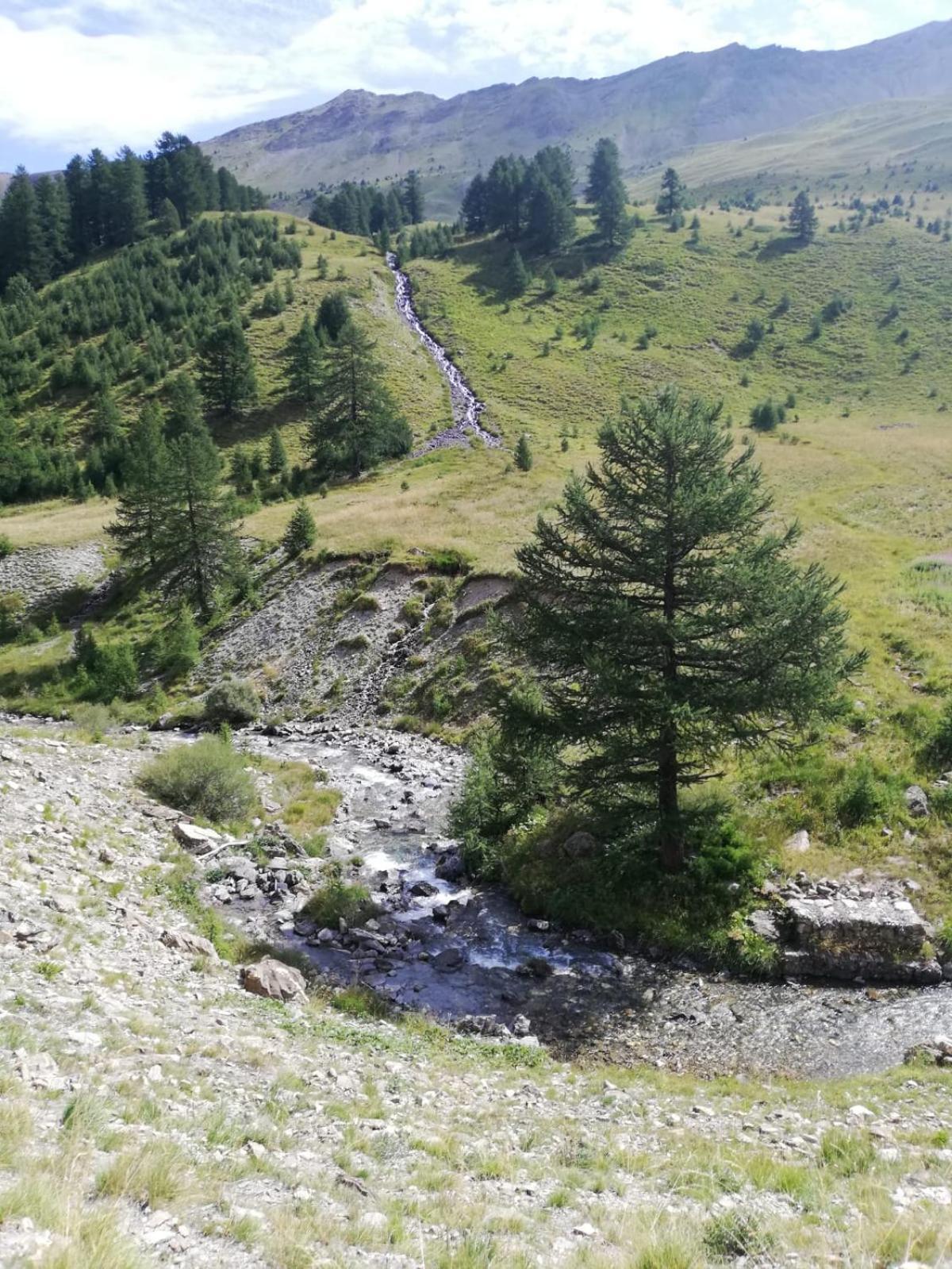 App Vue Montagne Barcelonnette Proche Piscine Rando Riviere Nature エクステリア 写真